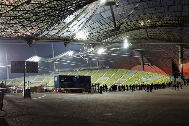 杨如意